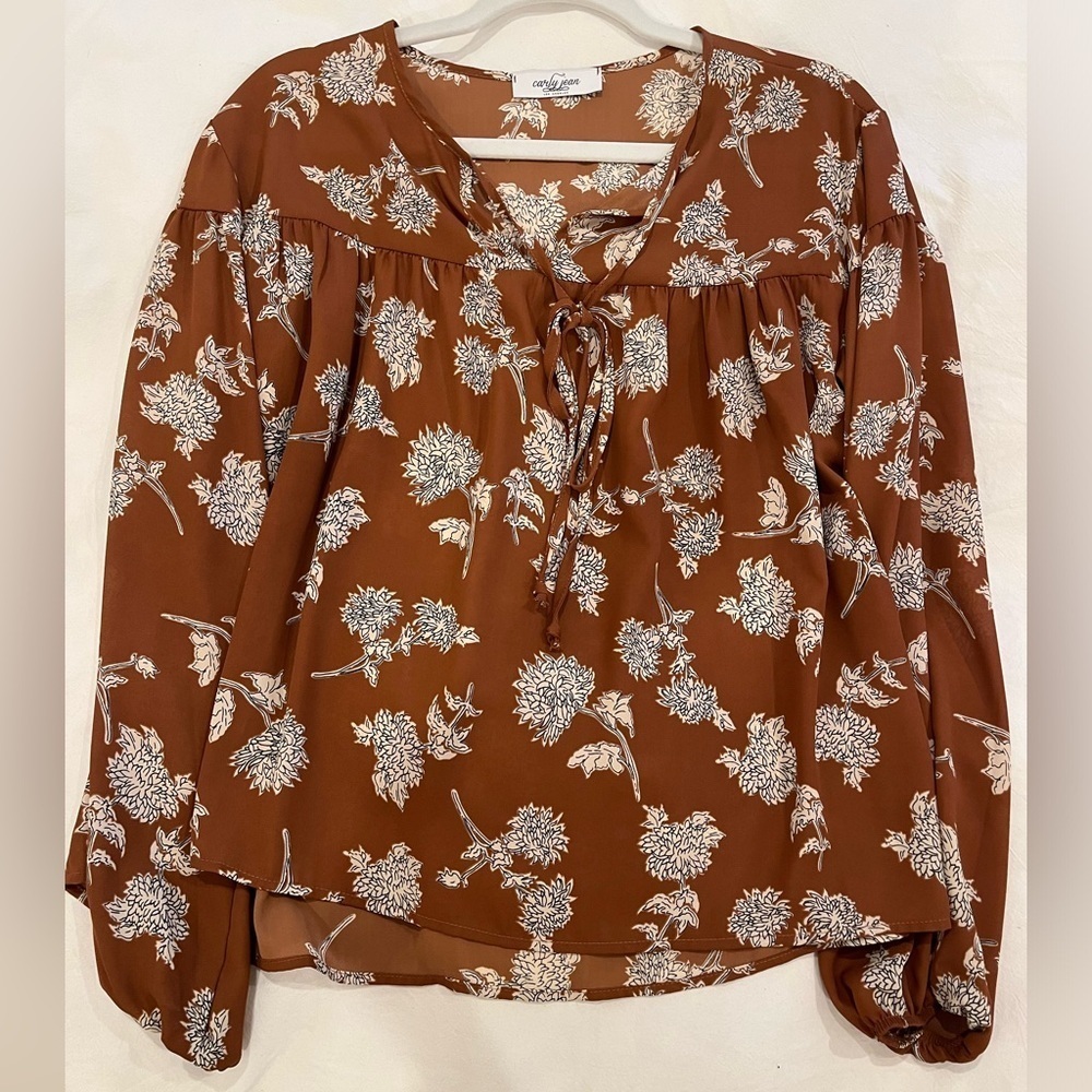 Beautiful fall Carly Jean Los Angeles top - Picture 2 of 4